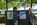Projekt Herrndorf - Malaktion im Stadtpark - 2025 05 11 